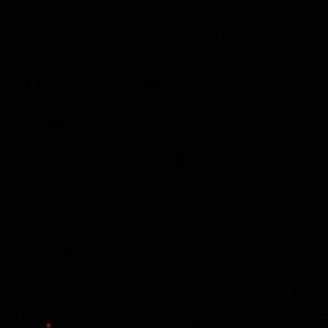 Meet your Posher, Marty